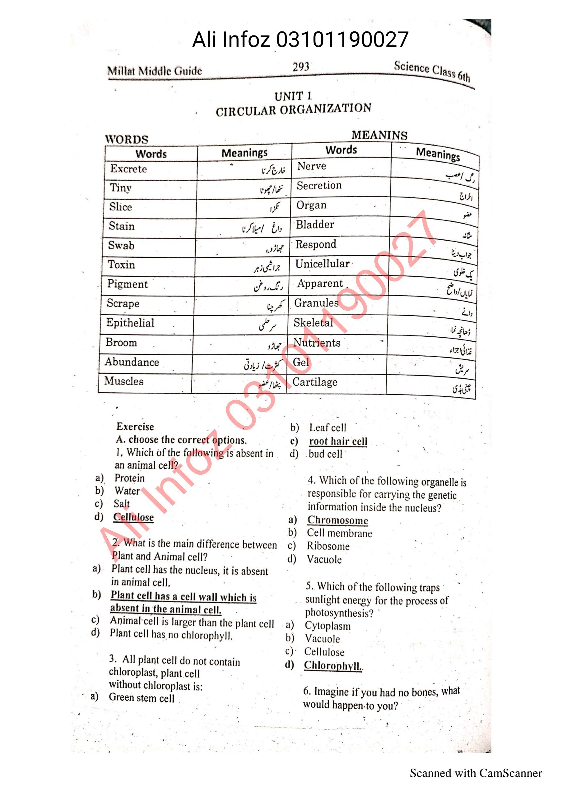 Science 6th Guide سائنس گائیڈ جماعت ششم  Cover