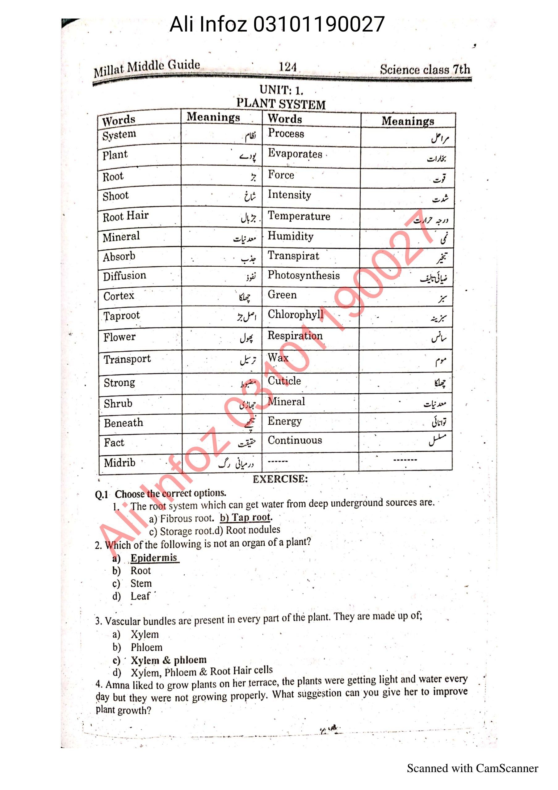 Science 7th Guide  سائنس گائیڈ جماعت ہفتم  Cover