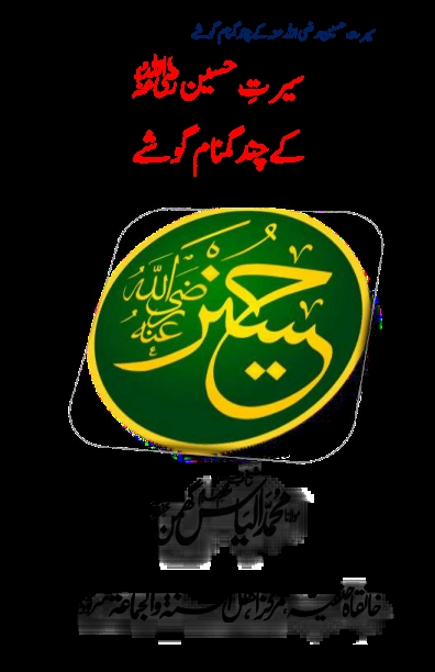 سیرت حسین کے گمنام گوشے Cover